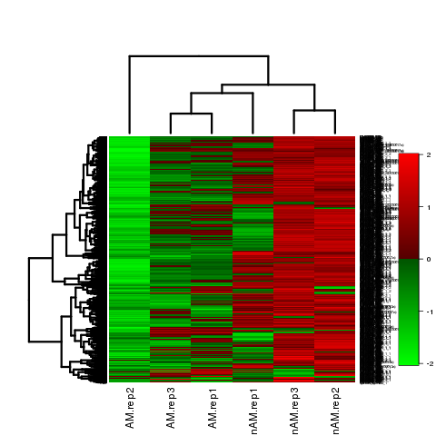 Heatmap RNAseq