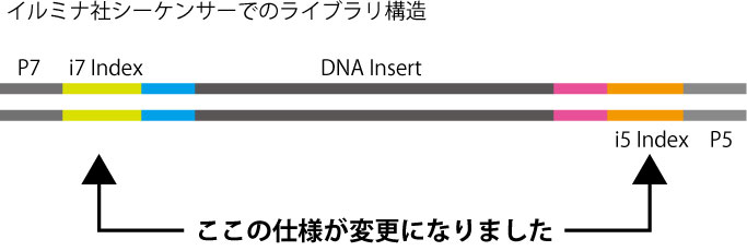 イルミナのライブラリー構造