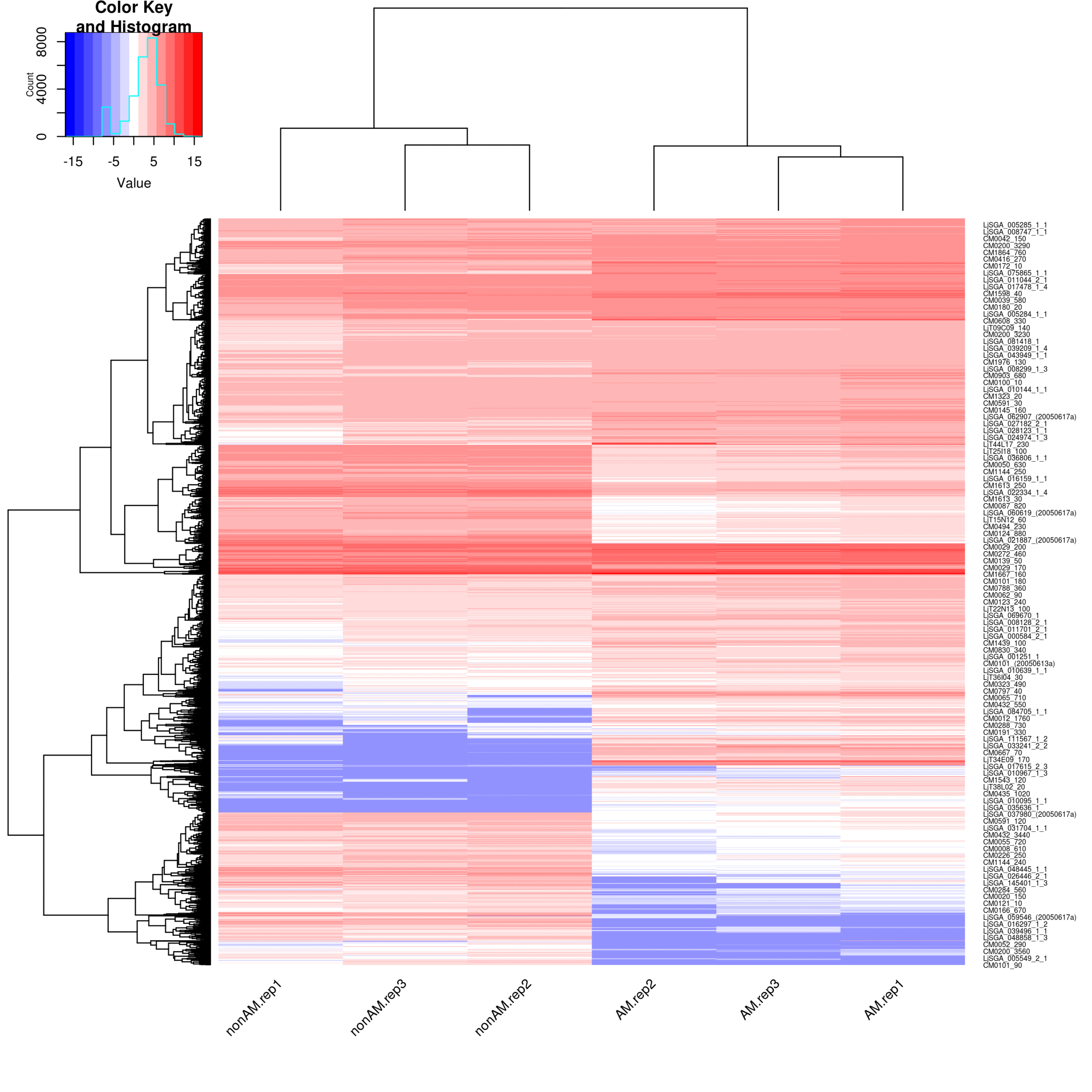 Heatmap