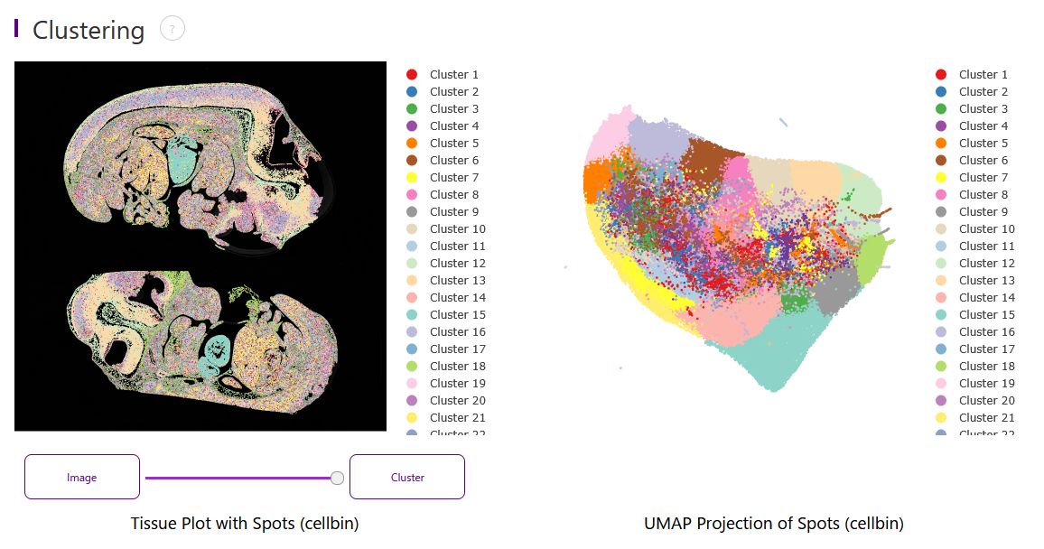 single-cell demo data
