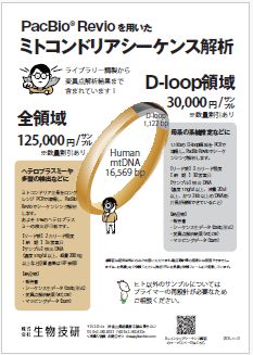 ミトコンドリアシーケンス解析