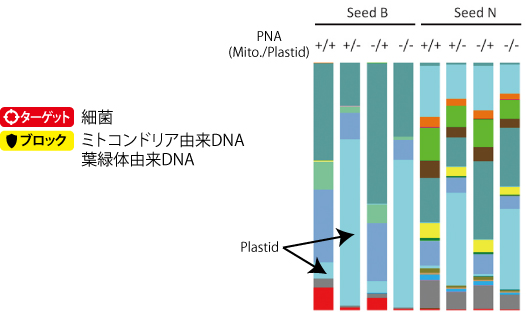PNAを用いたブロッキング