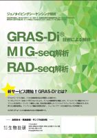GRAS-Diチラシ