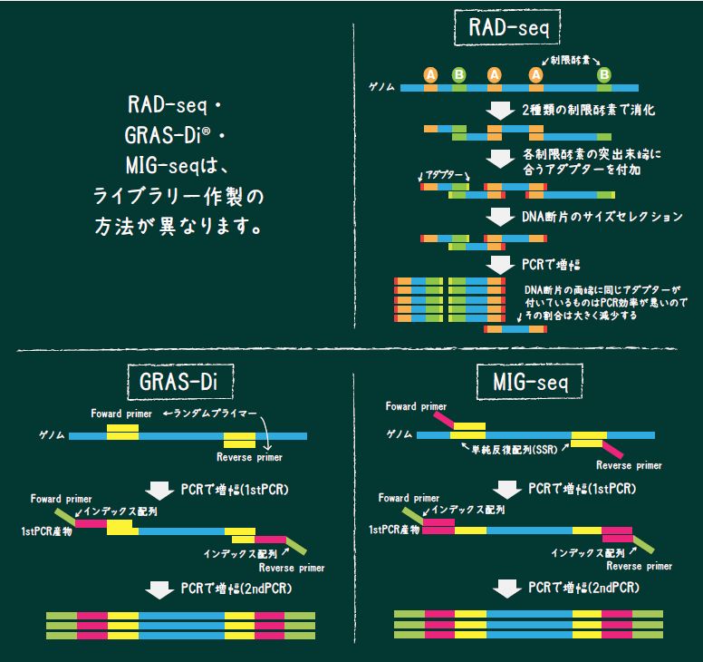 GRAS-Diライブラリー調製