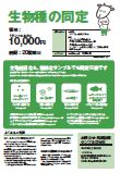 生物種の同定ちらし
