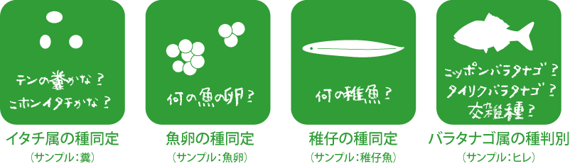 同定実績