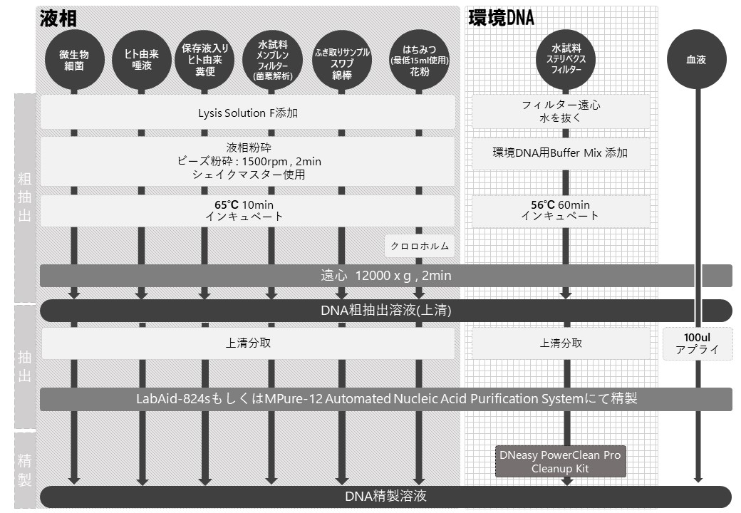 DNA抽出液相