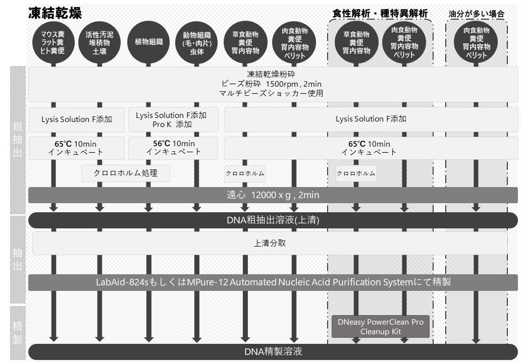 DNA抽出凍結乾燥