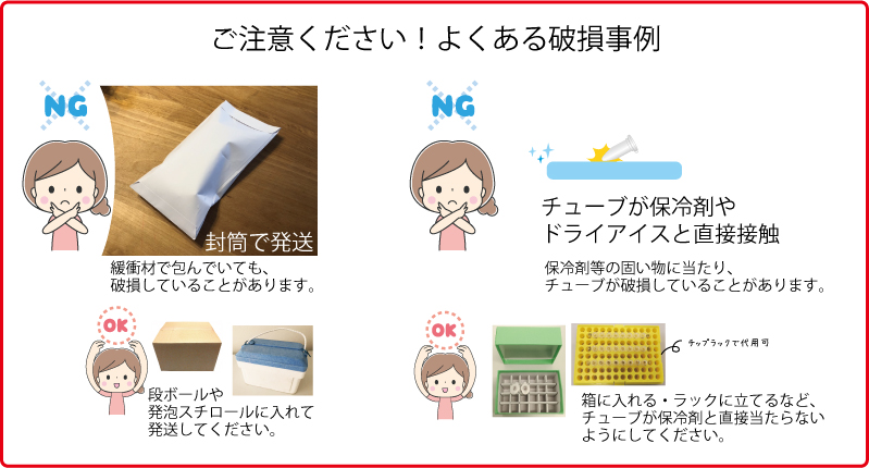 破損事例