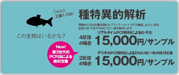 種特異的解析