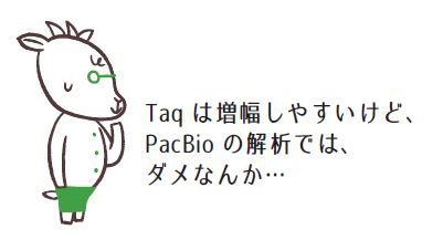 taqは平滑末端とならないPCR酵素