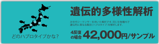 環境DNA遺伝的多様性解析